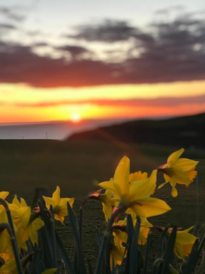 Bunnahabhain 5 - Farm Stay - Stunning Sea And Rural Views Странрар Екстер'єр фото