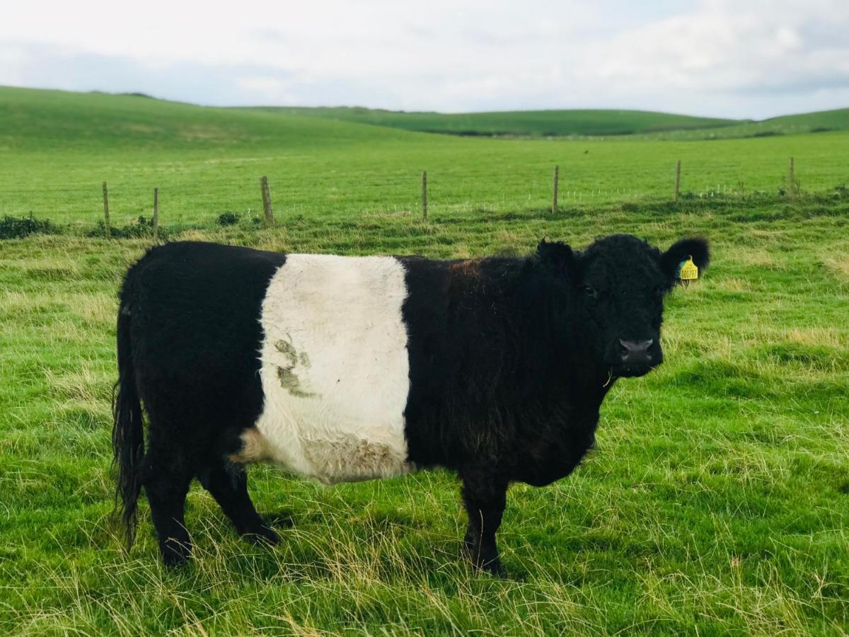 Bunnahabhain 5 - Farm Stay - Stunning Sea And Rural Views Странрар Екстер'єр фото
