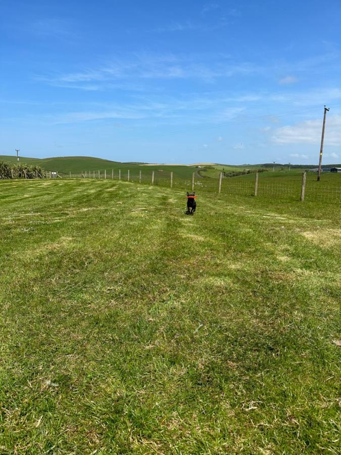 Bunnahabhain 5 - Farm Stay - Stunning Sea And Rural Views Странрар Екстер'єр фото